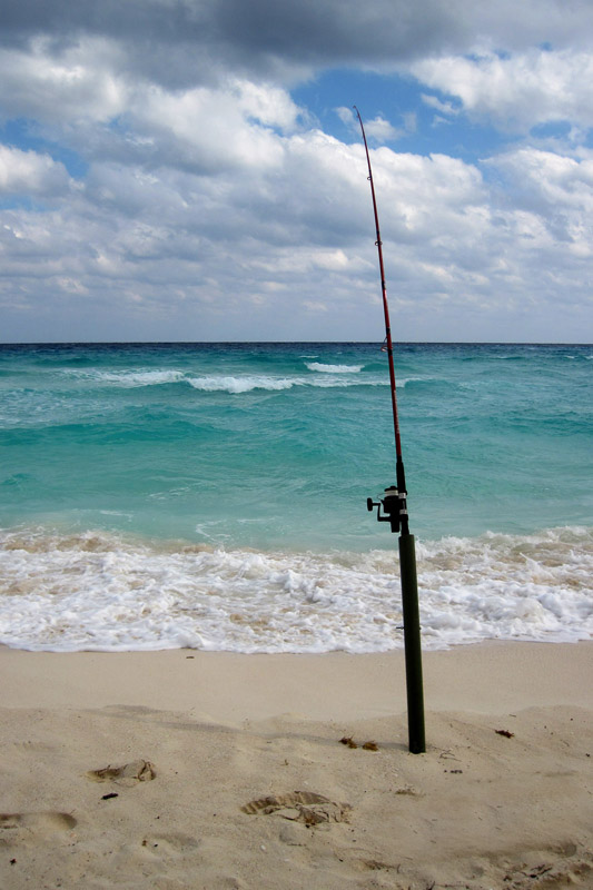 plage avec une cane à pêce